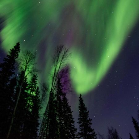 Riverside Log Cabin On-Site Aurora Viewing! North Pole Εξωτερικό φωτογραφία