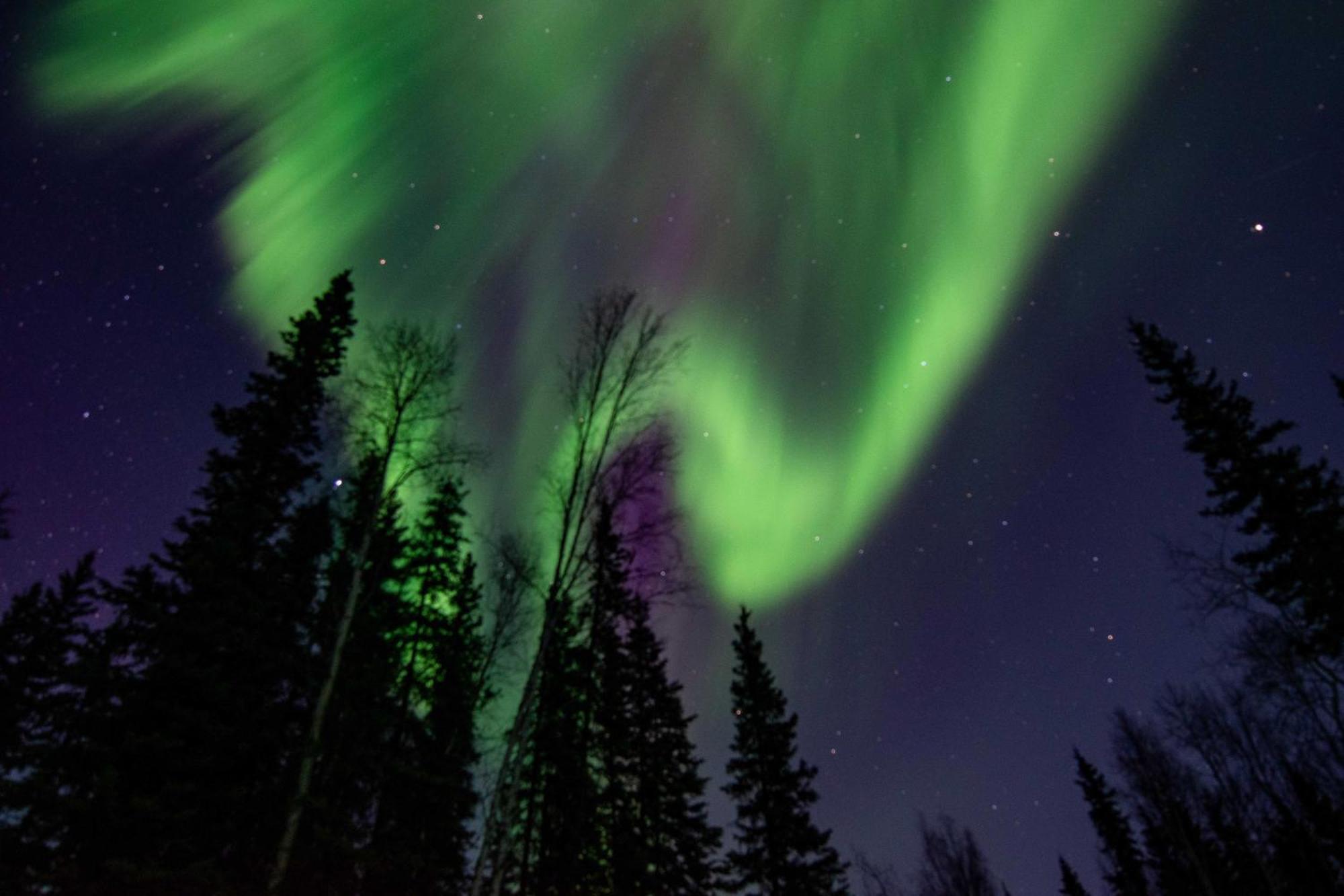 Riverside Log Cabin On-Site Aurora Viewing! North Pole Εξωτερικό φωτογραφία