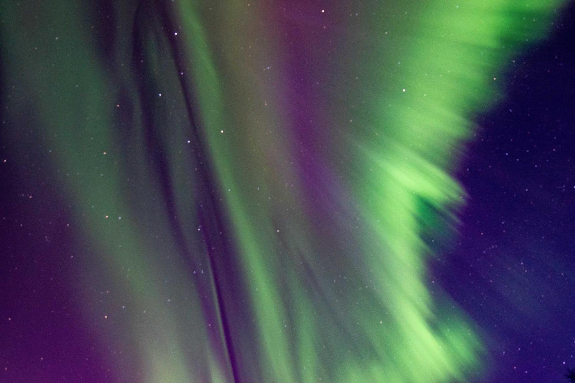 Riverside Log Cabin On-Site Aurora Viewing! North Pole Εξωτερικό φωτογραφία